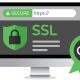 شهادات الأمان SSL: حماية موقعك على الإنترنت